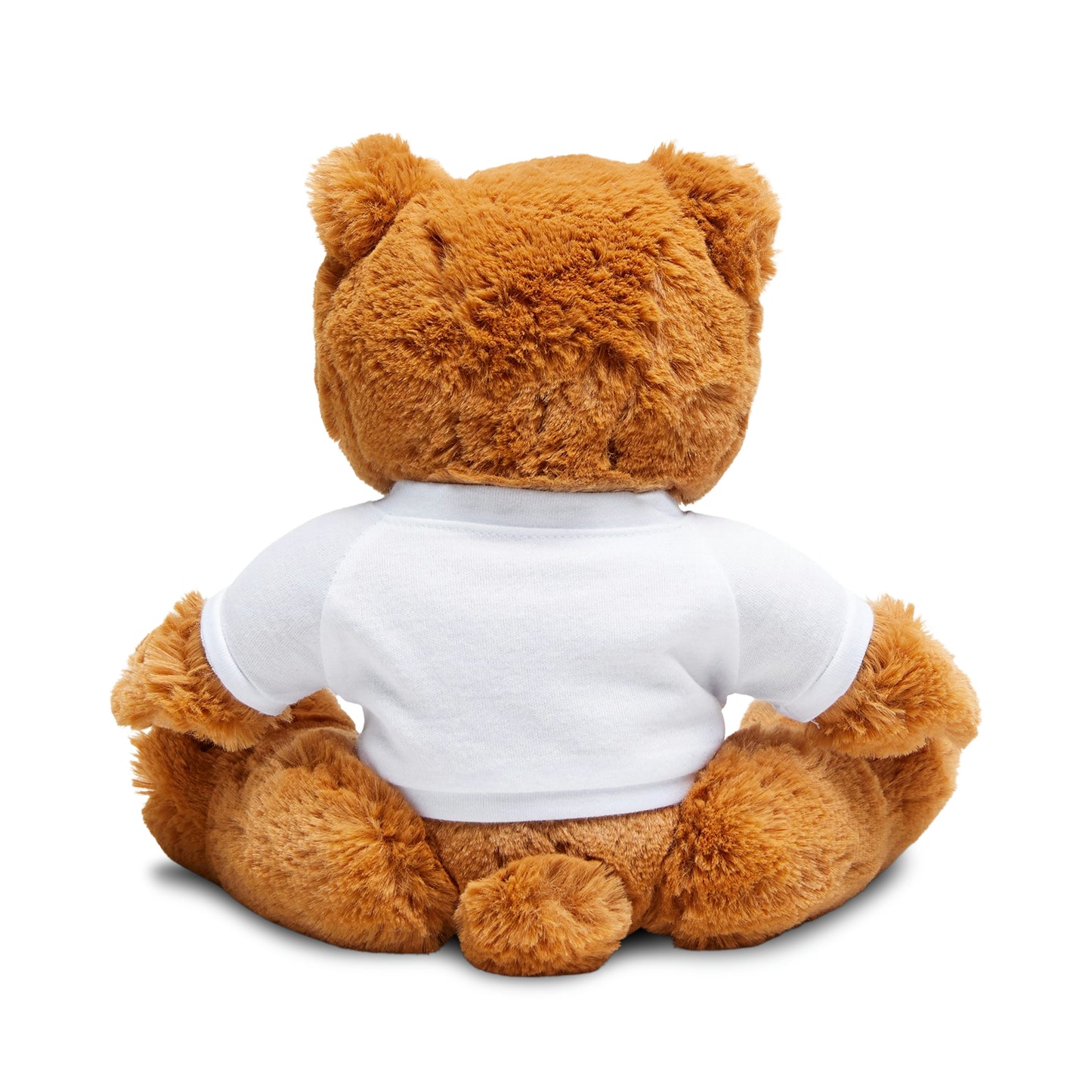 Teddy Bear with T-Shirt